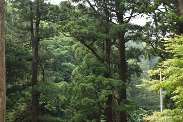 日本　群馬のパワースポット　榛名神社　夏の風景