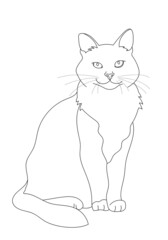 illustration design outline of a cat.