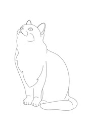 Obraz premium illustration design outline of a cat.