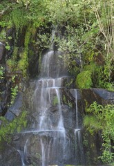 A Waterfall in Mount Rainier National Park