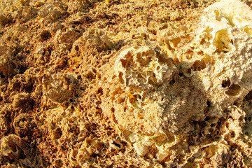 Toxic gas is ejected from a countless number of fumaroles in Dallol, the Danakil Depression, Ethiopia