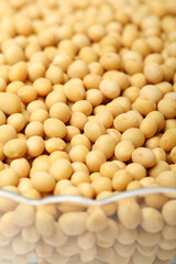 gold soybean  background 