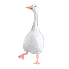 Watercolor goose picture. Perfect for printing, web, textile design, souvenirs.