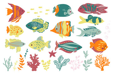Obraz premium Set of cute oceanic fish isolated on a white background. Vector graphics.