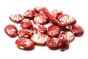 Phaseolus vulgaris on White Background 