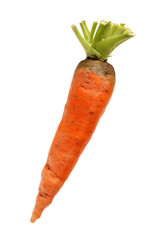 Fresh carrot on a white background