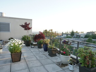Rooftop patio garden overlooking residential development on a summer evening