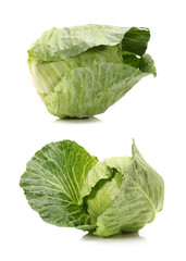 Obraz premium cabbage on white background