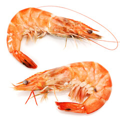 boiled shrimps on white background