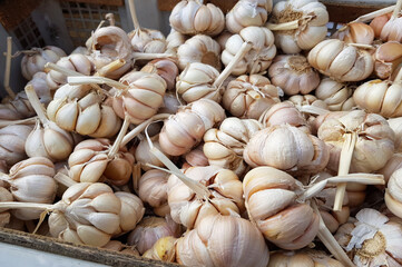 close up of fresh garlic