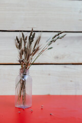 Vase with dried flowers on a light background