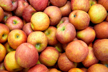 시장 진열대 위의 많은 사과들