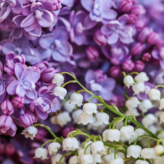 Abstract floral background, blooming purple terry Lilac flower petals and lily of the valley flowers. Soft focus
