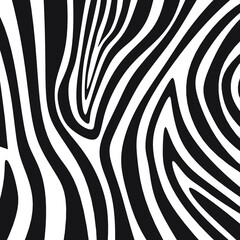 zebra pattern. vector Animals background