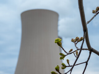 Branch with green leaves  against nuclear power plant.