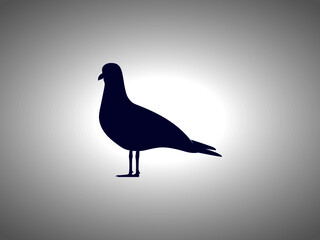 Seagull Silhouette. Isolated Vector Animal Template for Logo Company, Icon, Symbol etc