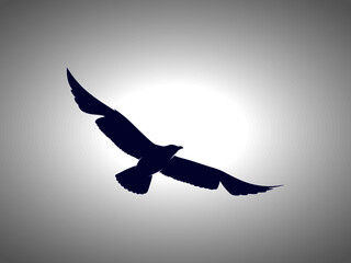 Seagull Silhouette. Isolated Vector Animal Template for Logo Company, Icon, Symbol etc