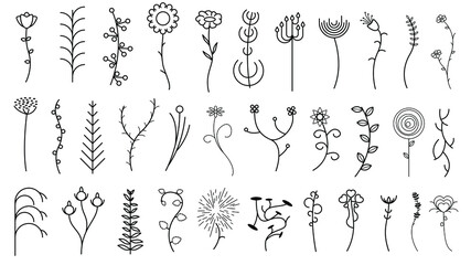 Abstract Set Doodle Elements Hand Drawn Collection Botanic Herbal Flora Leaf Branch Vine Flower Plant Elements F Vector Desgin Style