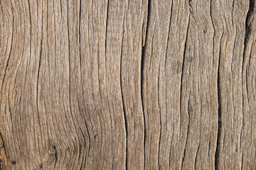 Brown wooden with vintage grunge texture