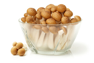 brown beech mushroom on white background 