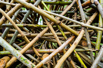 land art, beautiful background of branches, bark and trees, filmed in cloudy weather 