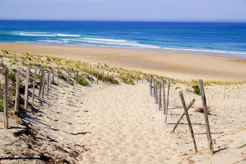 Crédence de cuisine en verre imprimé Descente vers la plage Chemin de sable accès à la plage mer avec clôture en bois en été