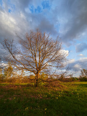 Obraz premium Sonnenuntergang im Vogelschutzgebiet NSG Garstadt bei Heidenfeld im Landkreis Schweinfurt, Unterfranken, Bayern, Deutschland
