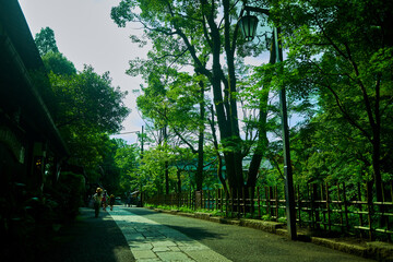 調布深大寺を抜けて、登校する小学生