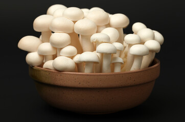 shimeji mushrooms white varieties 