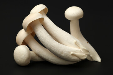 shimeji mushrooms white varieties 