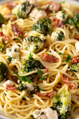 Homemade Chicken Bacon Broccoli Alfredo on a plate, side view. Closeup.