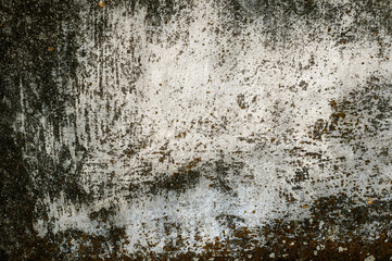Fototapeta Tytuł: Porysowana, skorodowana tekstura, tło starego muru ogrodzeniowego. Kolory korozji w stonowanych odcieniach szarości. obraz