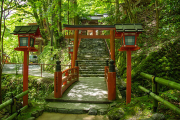 Fototapeta na wymiar 京都観光-貴船神社から鞍馬寺ハイキングコース