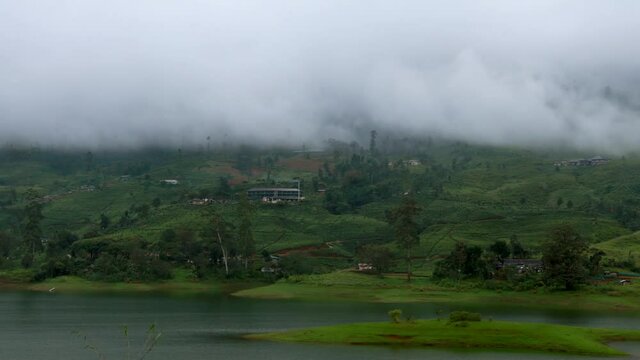 time lapse fog moving pass the tea plantations at Castlereagh lake Sri Lanka