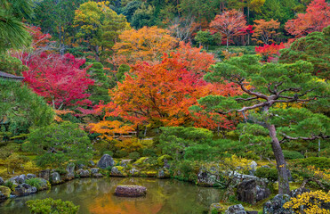 Foliage landscape in Kyoto, Japan.