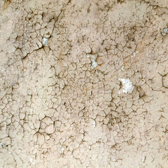 Grunge textures and backgrounds