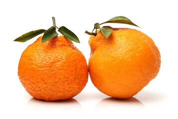  tangerine on a white background 