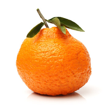  tangerine on a white background 