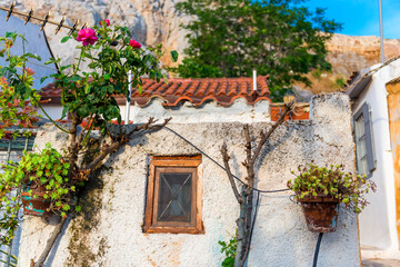 Fototapeta na wymiar flower on the wall of a building in Greece