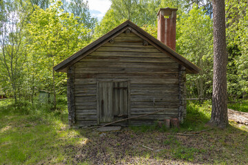 Fototapeta na wymiar Old wooden hut in the forest on summer day