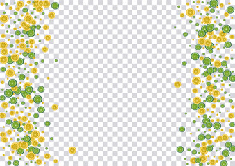 Sunny Lemon Background Transparent Vector. Design Set. Green Fruit Wrapping. Print Lemon Green Set.