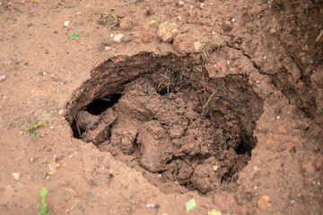 Rainwater flushed pits. Weather and natural disasters