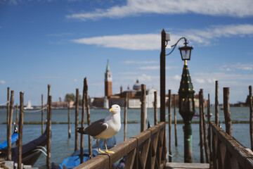 Venezia