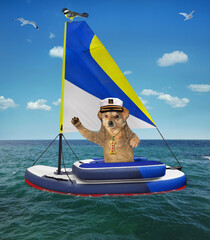 A beige dog in a captain hat sits in a inflatable sailing dinghy on the sea.