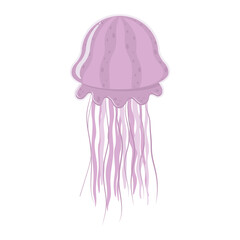 Isolated colored sea jellyfish in flat style on a white background, vector illustration