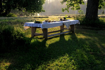 Giant wooden picnic table in scenic park with old trees, yellow sunset light. Outdoor Table food...