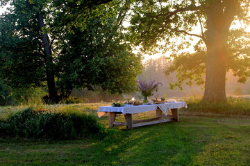 Giant wooden picnic table in scenic park with old trees, yellow sunset light. Outdoor Table food...