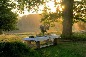 Giant wooden picnic table in scenic park with old trees, yellow sunset light. Outdoor Table food lunch concept