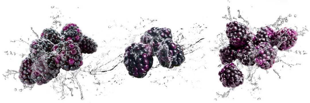 Fresh Blackberries with water splash on isolated white background	
