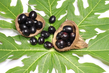 Jambolan plum or Java plum isolated on Green background